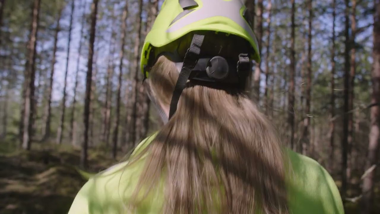 Fallende tre - Sikker i skogen