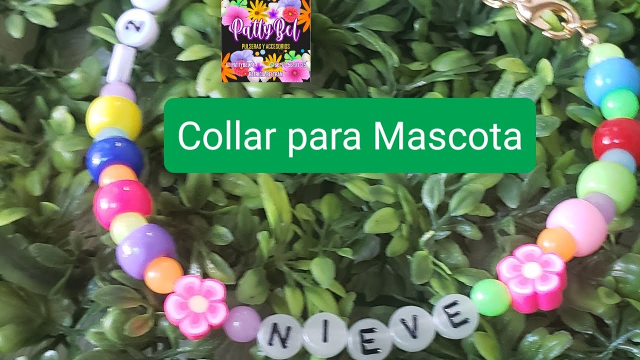 Collar para Mascota 🐈‍⬛🐕