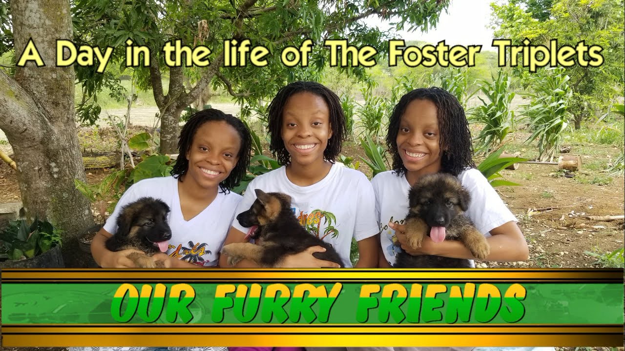 A Day in the Life of The Foster Triplets: Episode 19 - Our Furry Friends!