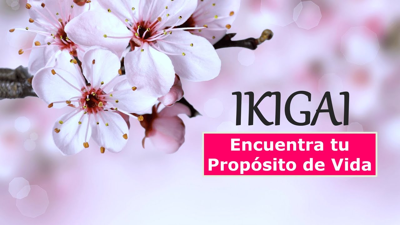 KIGAI: 5 Pilares para encontrar tu Prop&oacute;sito de Vida y Manifestar tus Dones y Talentos.