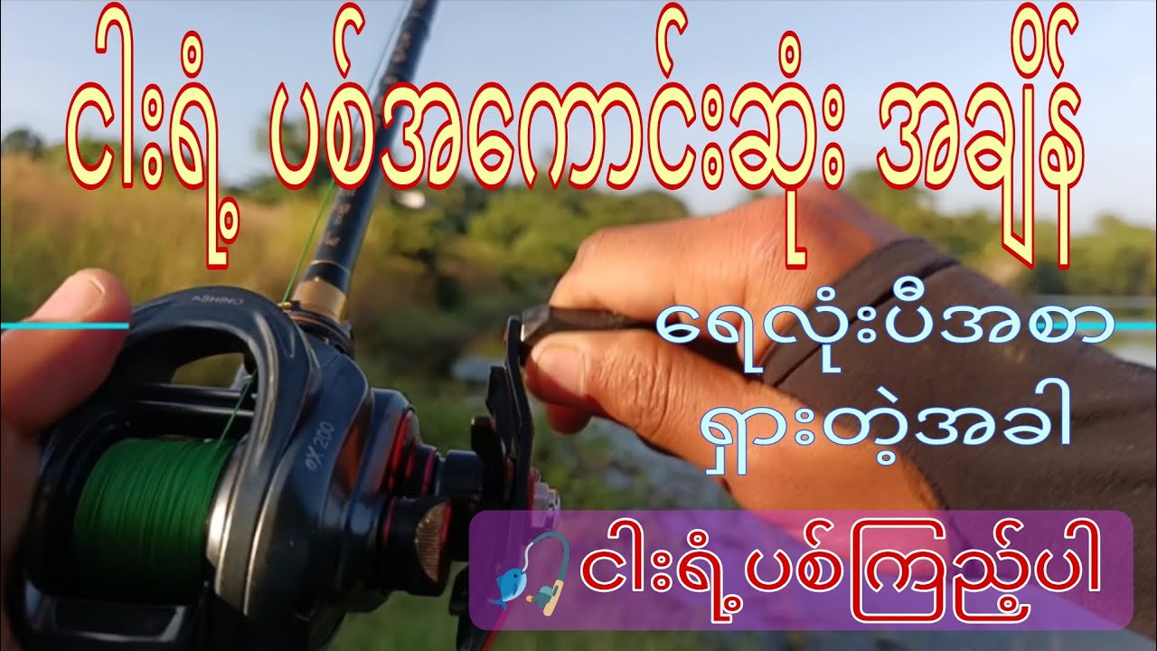 ငါးရံ့ တွေအစာငက်လာရင် မနေနိင်ပါဘူး #snakeheadfishing #vlogbykoaz