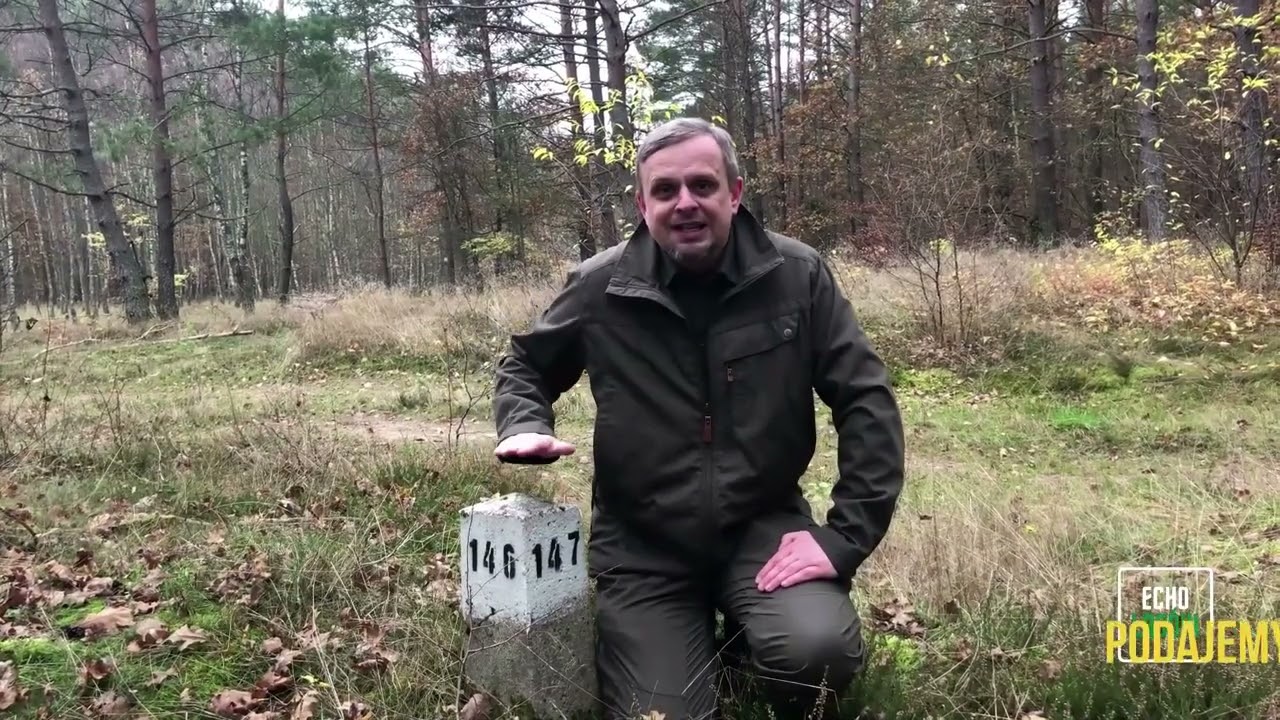 Jak nie zgubić się w lesie?