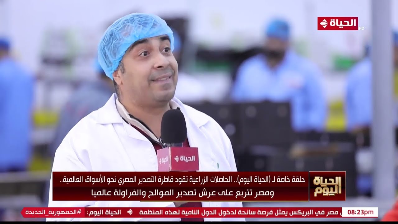 الحياة اليوم - أشرف محمود مدير الشحن والتصدير في إحدي محطات تصدير الفراولة بالبحيرة