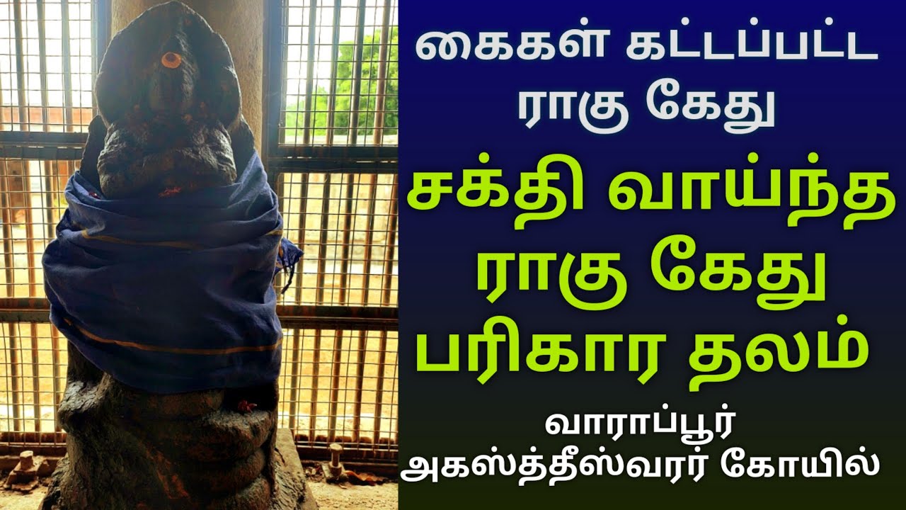 வாராப்பூர் அகஸ்த்தீஸ்வரர் கோயில் கைகள் கட்டப்பட்ட நிலையில் ராகு கேது |ராகு கேது தோஷம் நிவர்த்தி தலம்