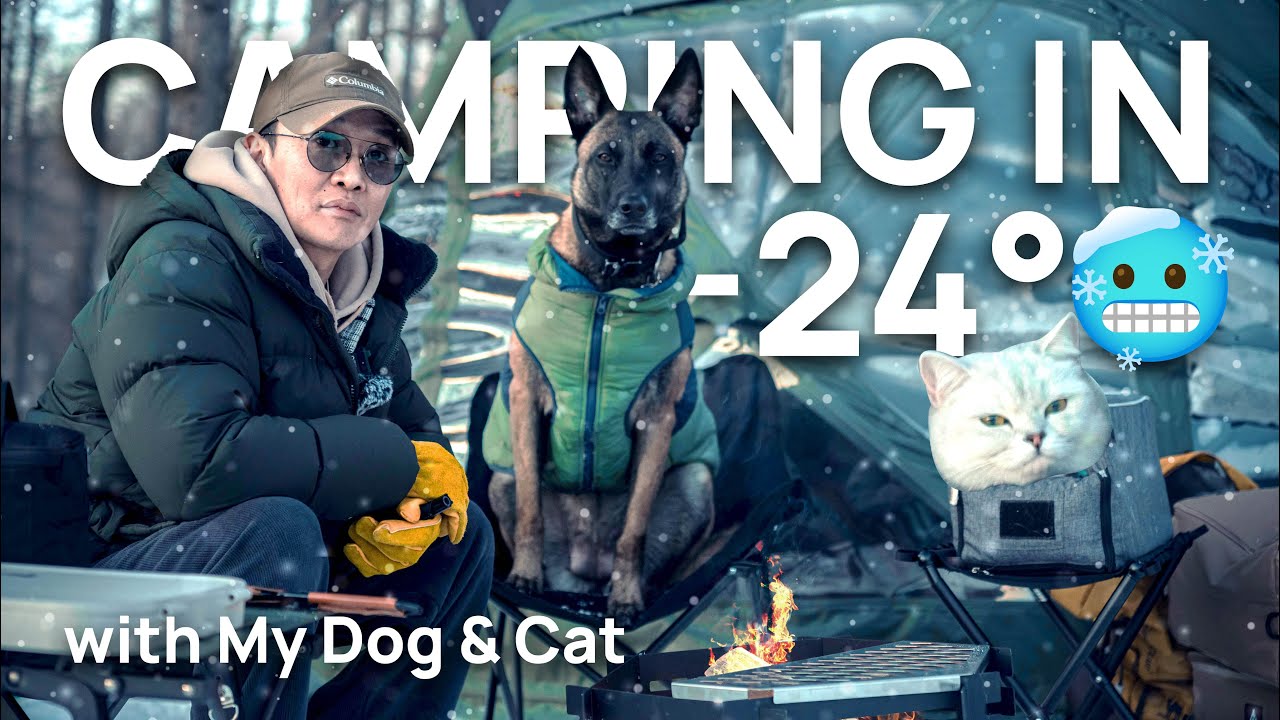 Mongolian Winter Camping with My Dog & Cat (-24°C!) ☃️