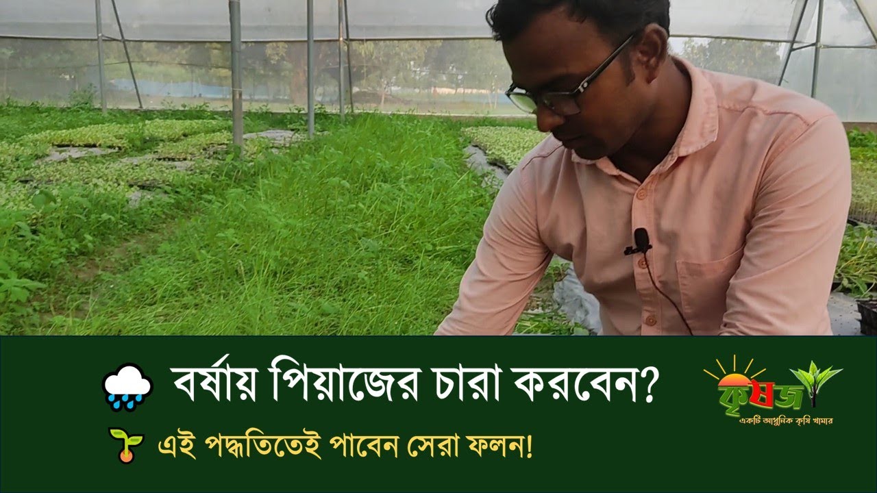 বর্ষাকালে পিঁয়াজের চারা উৎপাদনের সঠিক পদ্ধতি 🌱 | Onion Seedling Preparation 🌿 Krishoz