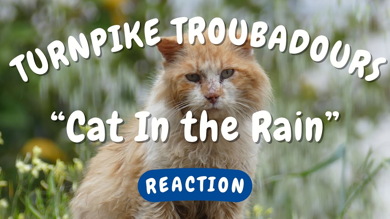 Turnpike Troubadours -- Cat In the Rain  [REACTION/GIFT REQUEST]
