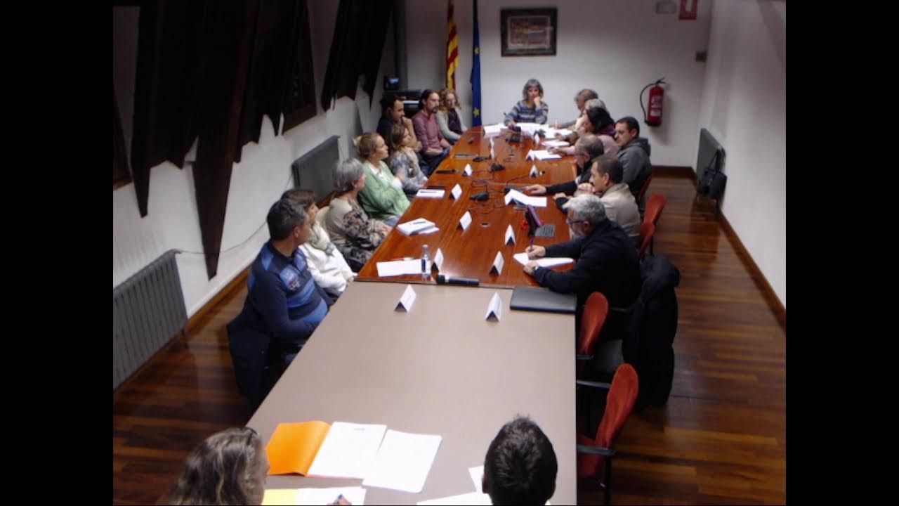 Consell Comarcal Alt Urgell - Ple 06-11-2025