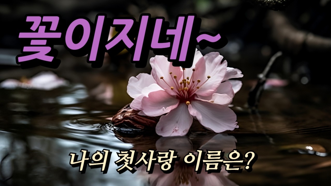 2026 여자가수 감성 트로트 | 한번 들으면 못 잊는 애절한 발라드 트로트