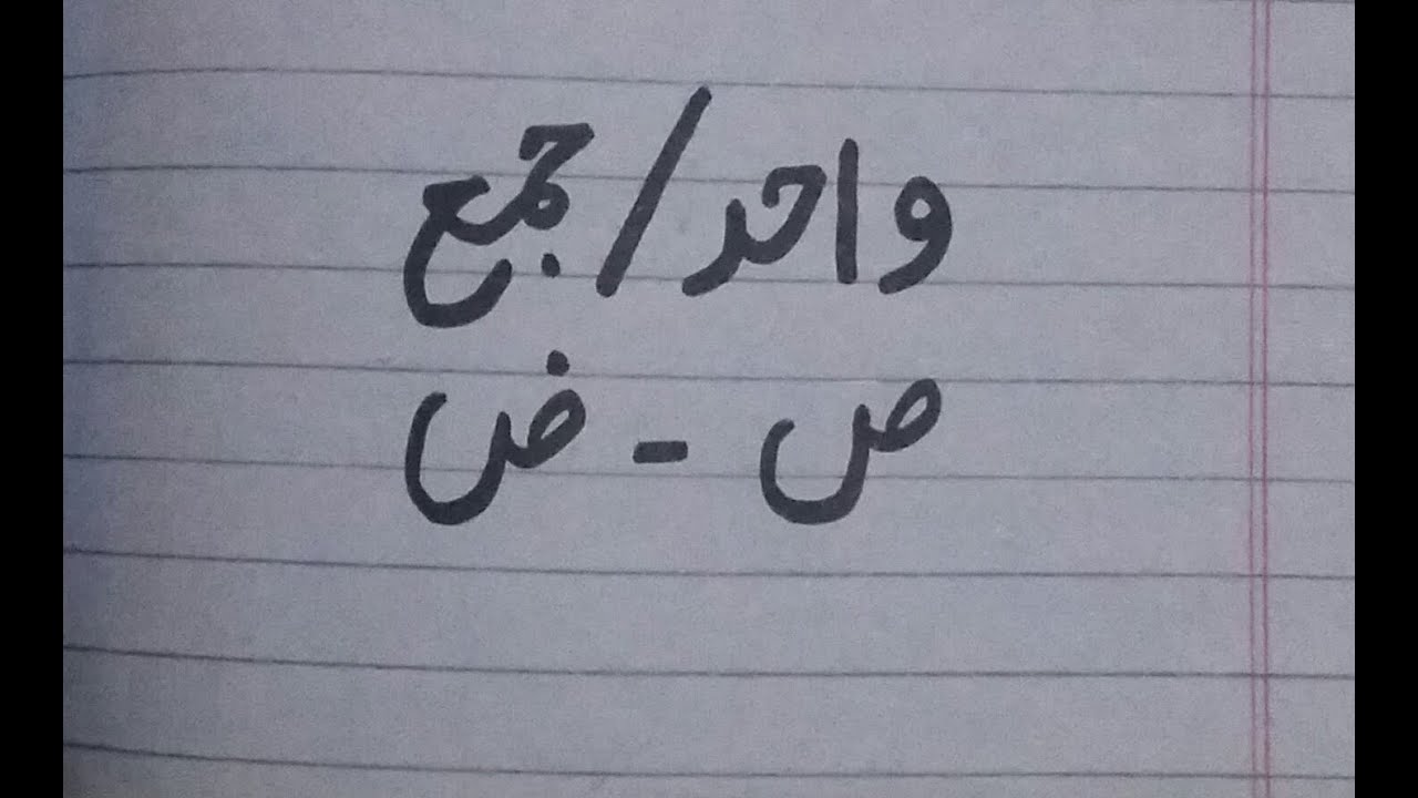 Teacher's Guide | Swad Or Zwad Se Wahid Jama | Urdu Grammar | Singular Plural |