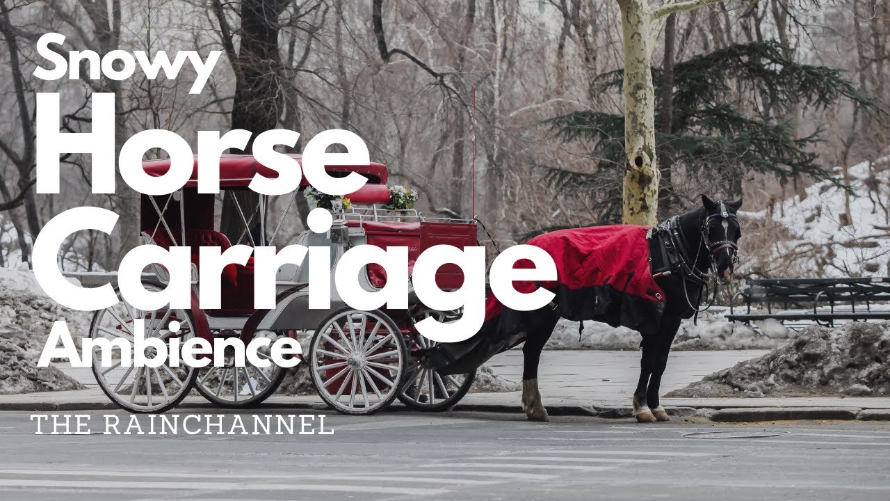 Snowy Horse Carriage 🐎 - 10 hours Horse hoof sounds in Winter