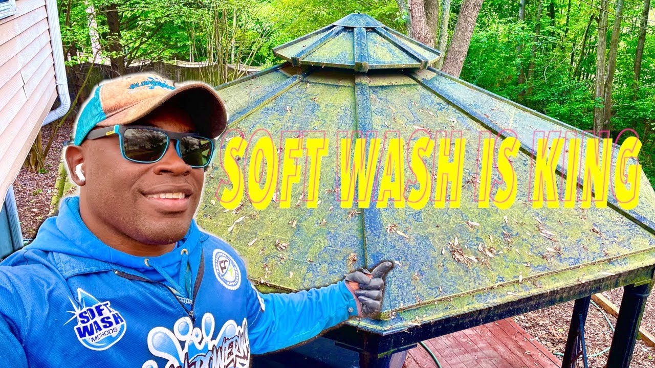 Soft washing $500 plus per hour