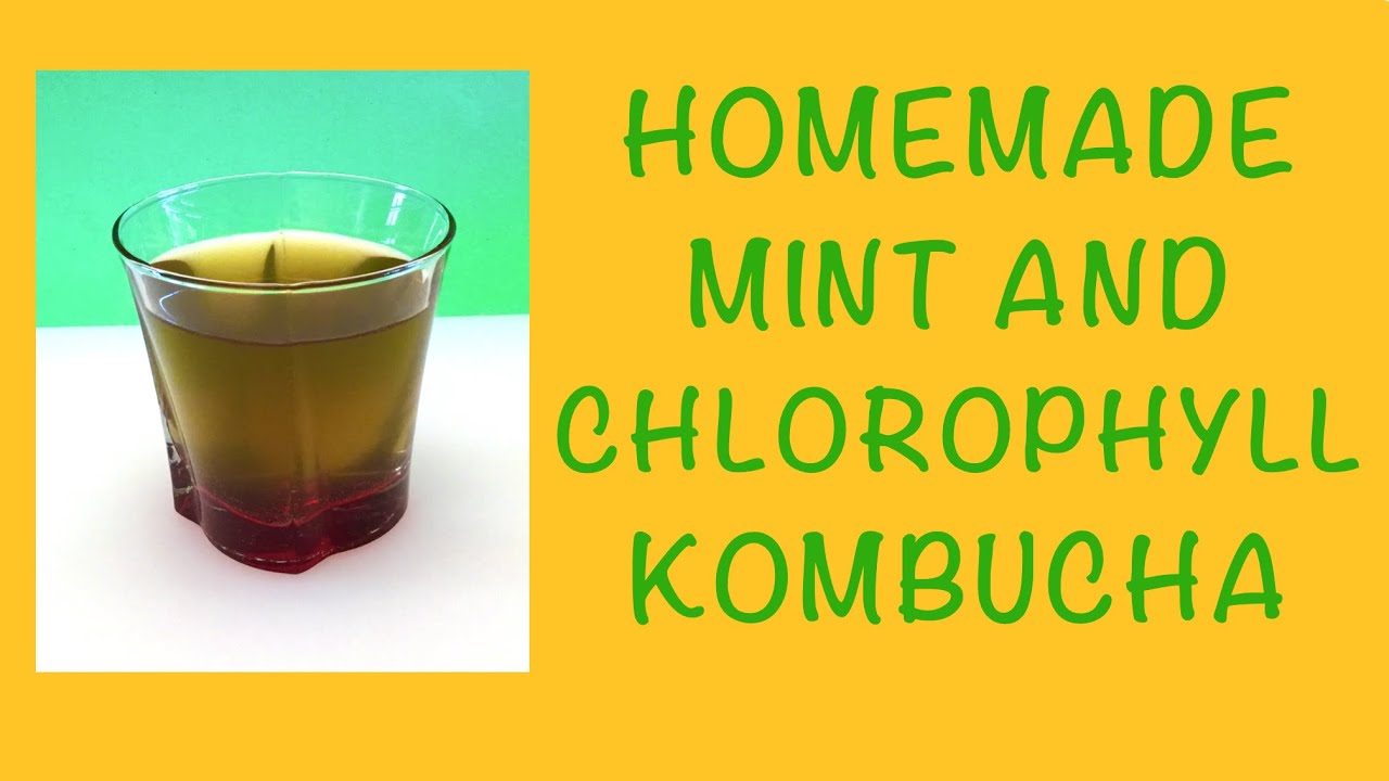 Homemade Mint & Chlorophyll Kombucha / Healthy & Refreshing Drink