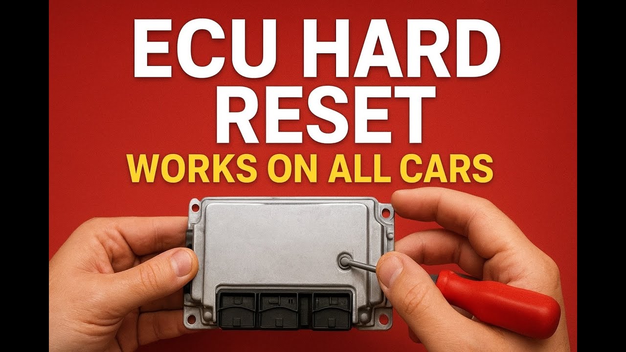 BMW ECU 
