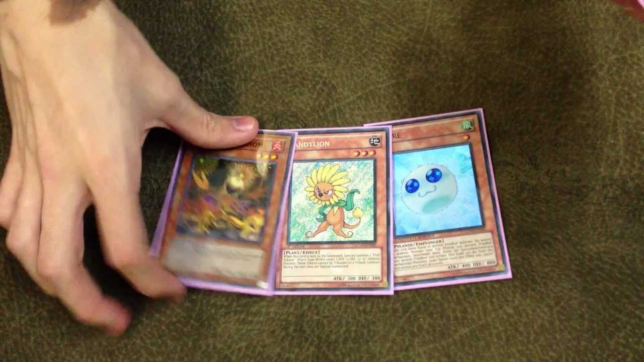 Plant Synchro Deck Profile September 2012