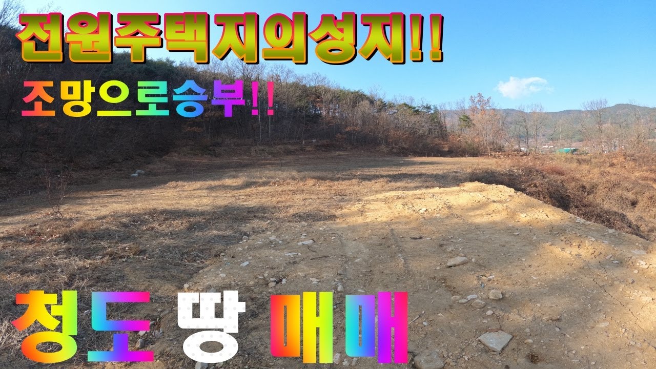 [P257]청도땅매매~~덤으로조망권드립니다!!
