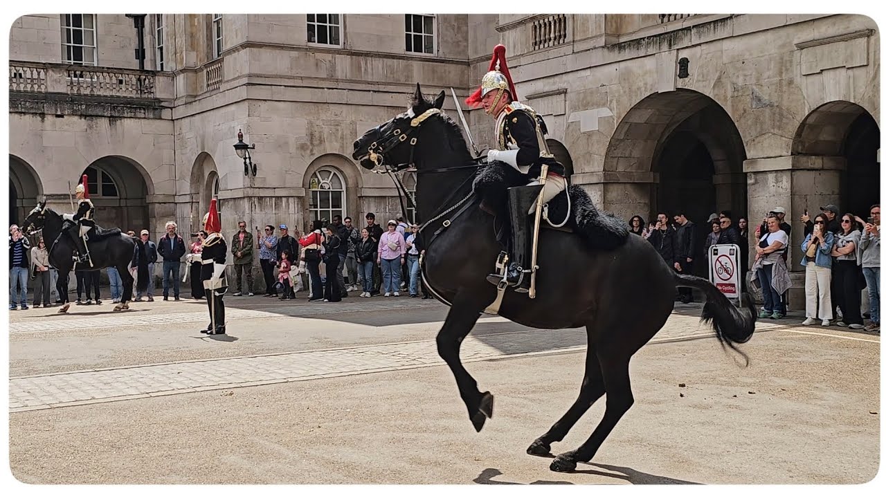 Monday and this JUMPY Horse Just Wasn't in the Mood!