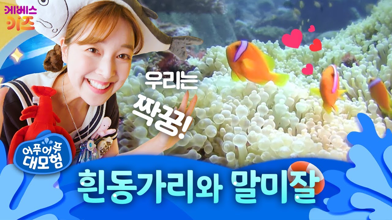 항상 붙어있는 우리는 짝꿍! 서로 도우며 살아요ㅣ흰동가리와 말미잘ㅣ어푸어푸 대모험ㅣTV유치원ㅣKBS 20230223 방송