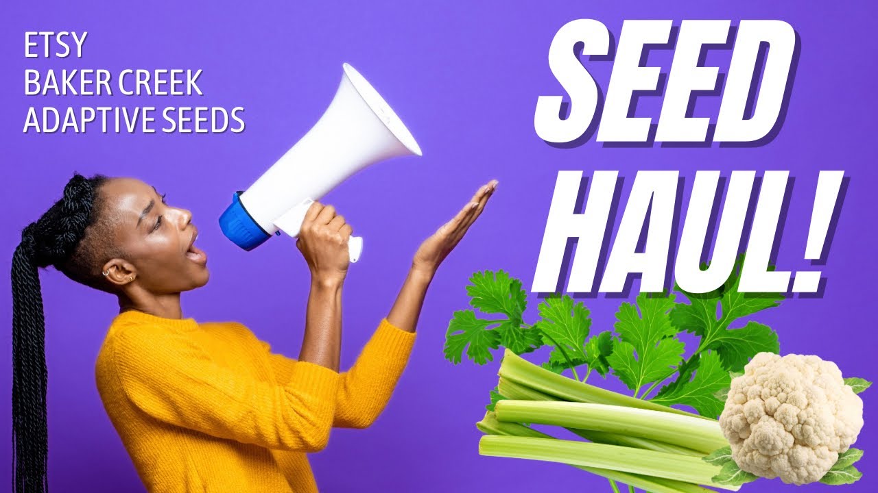 Seed Haul | 3 Different Vendors | Flowers, Herbs, Etc.