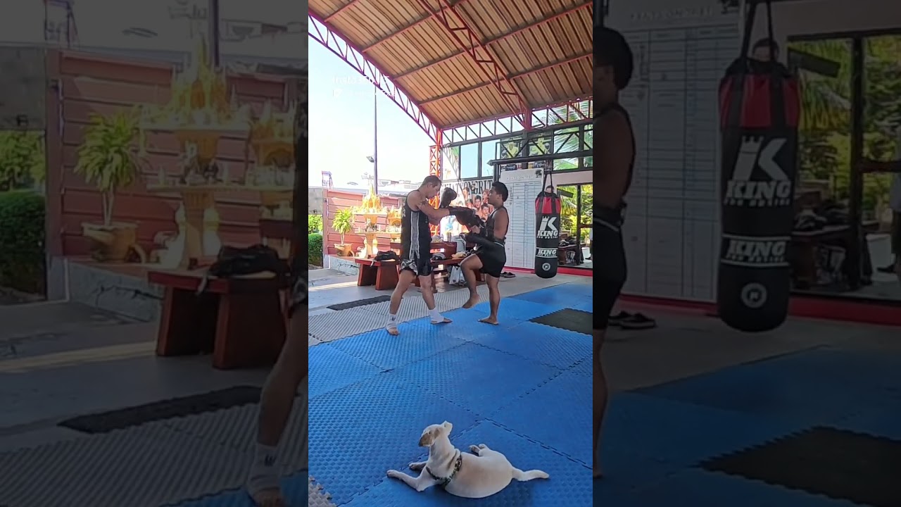 Over 50 Muay Thai: 2 February 2026.  Round 4 with Kru Dream at Kiatsongrit Muay Thai gym.