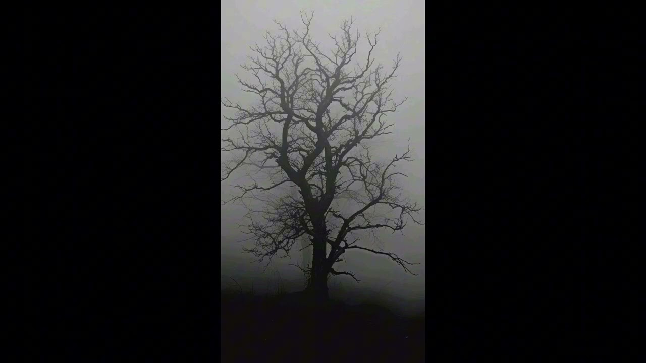 [Free] roid x west coast type beat (poison tree)
