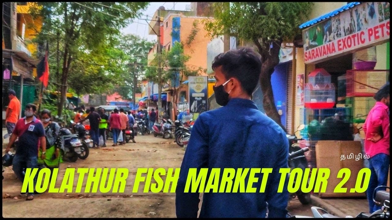 SUNDAY kolathur fish market Tour|exploring everything on the school road from starting to end|PART 2