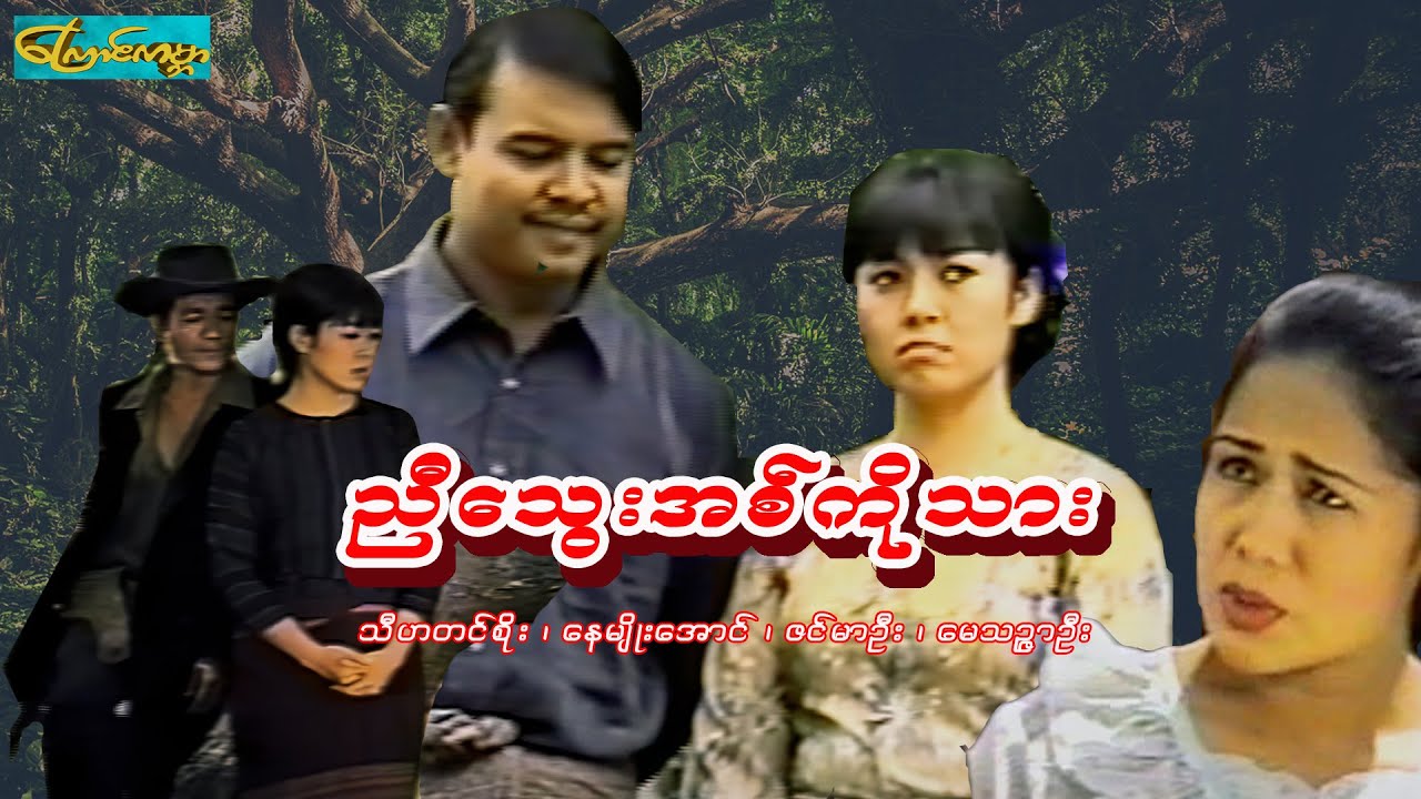 ညီသွေးအစ်ကိုသား (Nyi blood bro son)