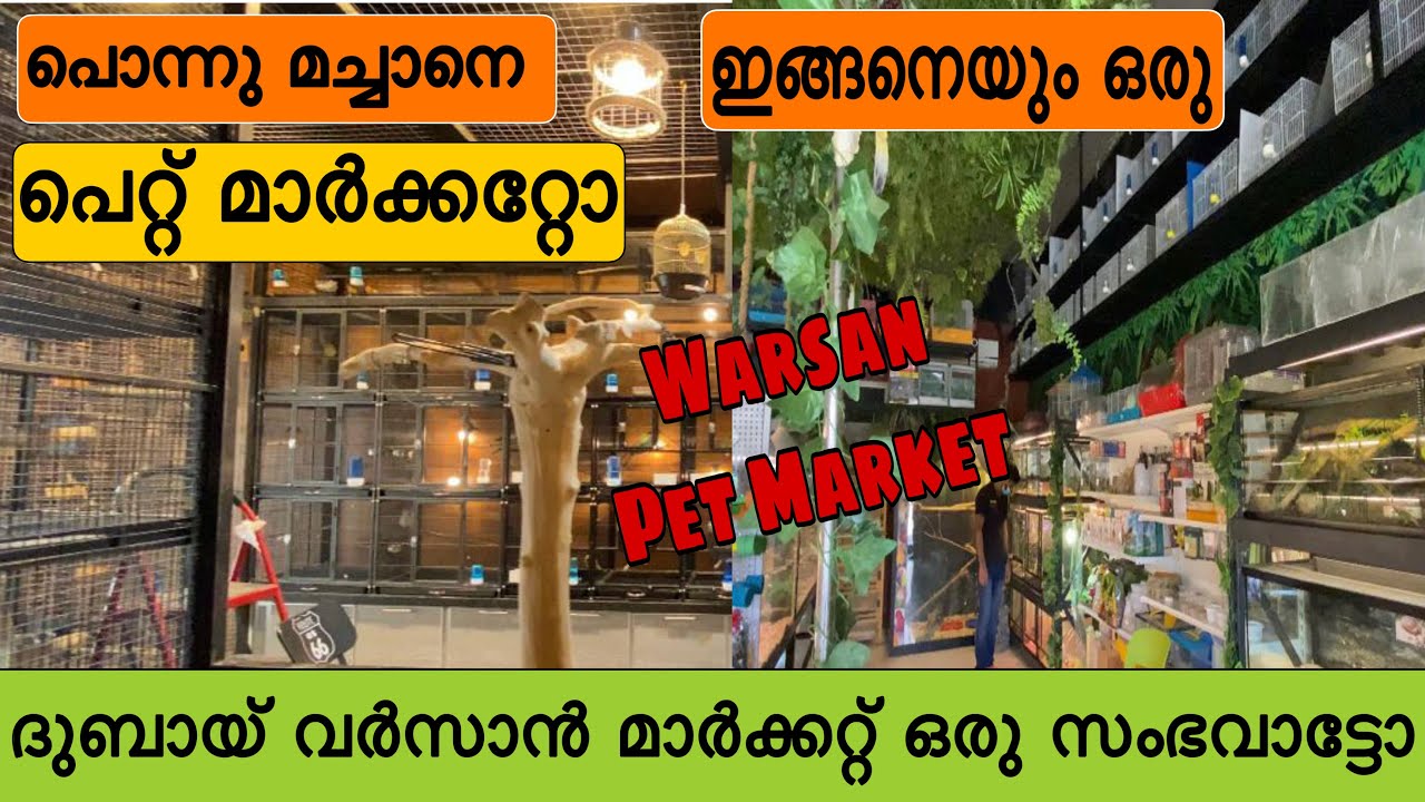 ഇതൊരു സംഭവമാട്ടൊ/International pet market Dubai/Al Warsan Pet Market/Dubai's largest pet market