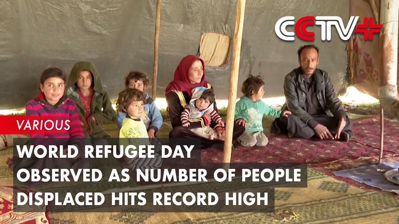 World Refugee Day Observed as Number of People Displaced Hits Record High