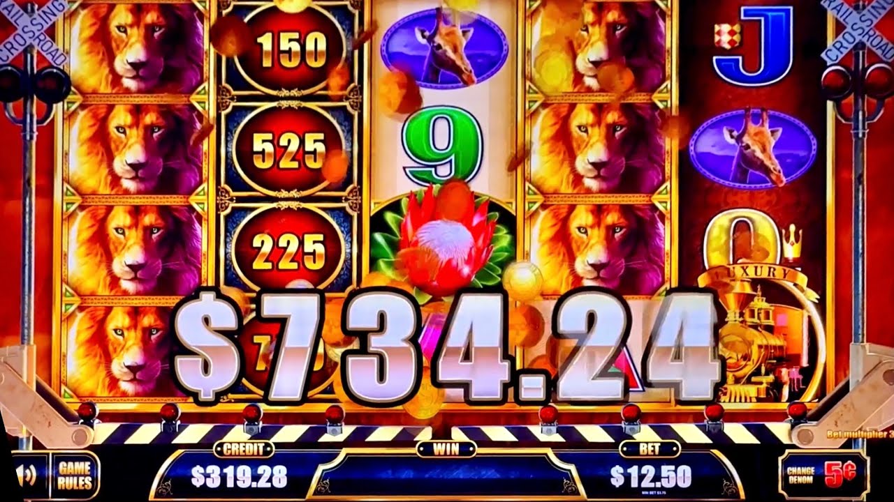 MASSIVE LUXURY LINE WINS #slotman #casino #slots 