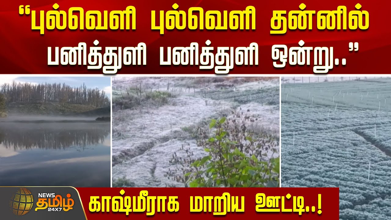 'புல்வெளி புல்வெளி தன்னில் பனித்துளி பனித்துளி ஒன்று...