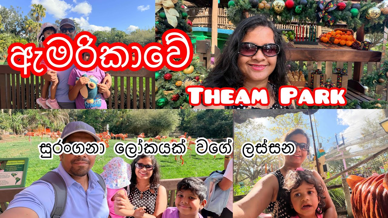 ඇමරිකාවෙ Theam Park එකක් බලන්න යමු/Road Trip part 2