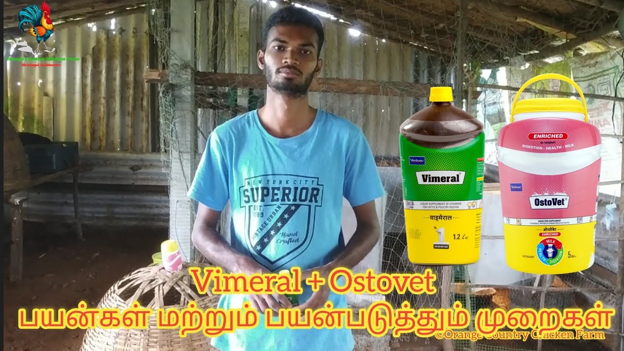 Vimeral for Birds | Vimeral use Tamil | Ostovet+Vimeral use #vimeral #ostovet #verbac #NattuKozhi