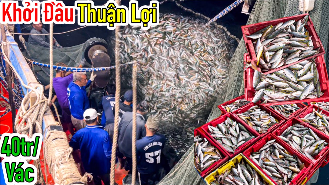 Lưới Bao Rạn 1 | Gặp Lại Anh Hai | Th&agrave;nh Quả Ấm &Aacute;p Sau V&aacute;c Đầu Đầy Kh&oacute; Khăn | Sơn Ph&uacute; Quốc