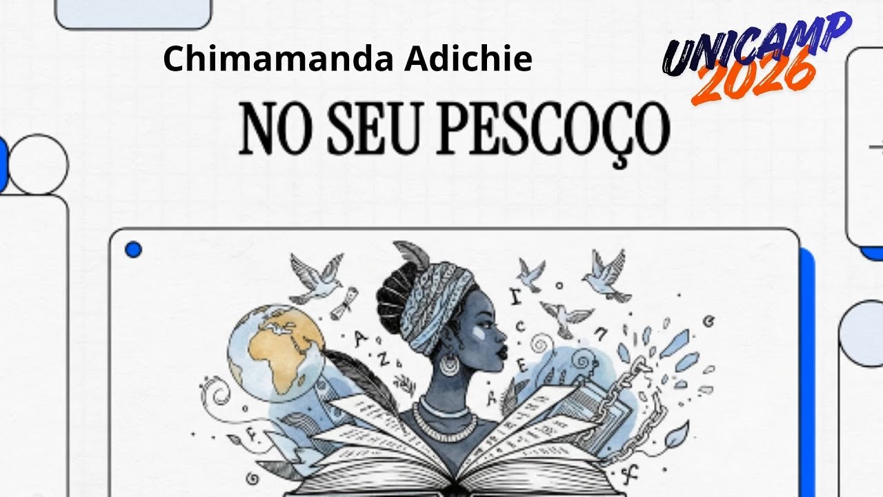 NO SEU PESCOÇO  - Chimamanda Adichie - resumo rápido