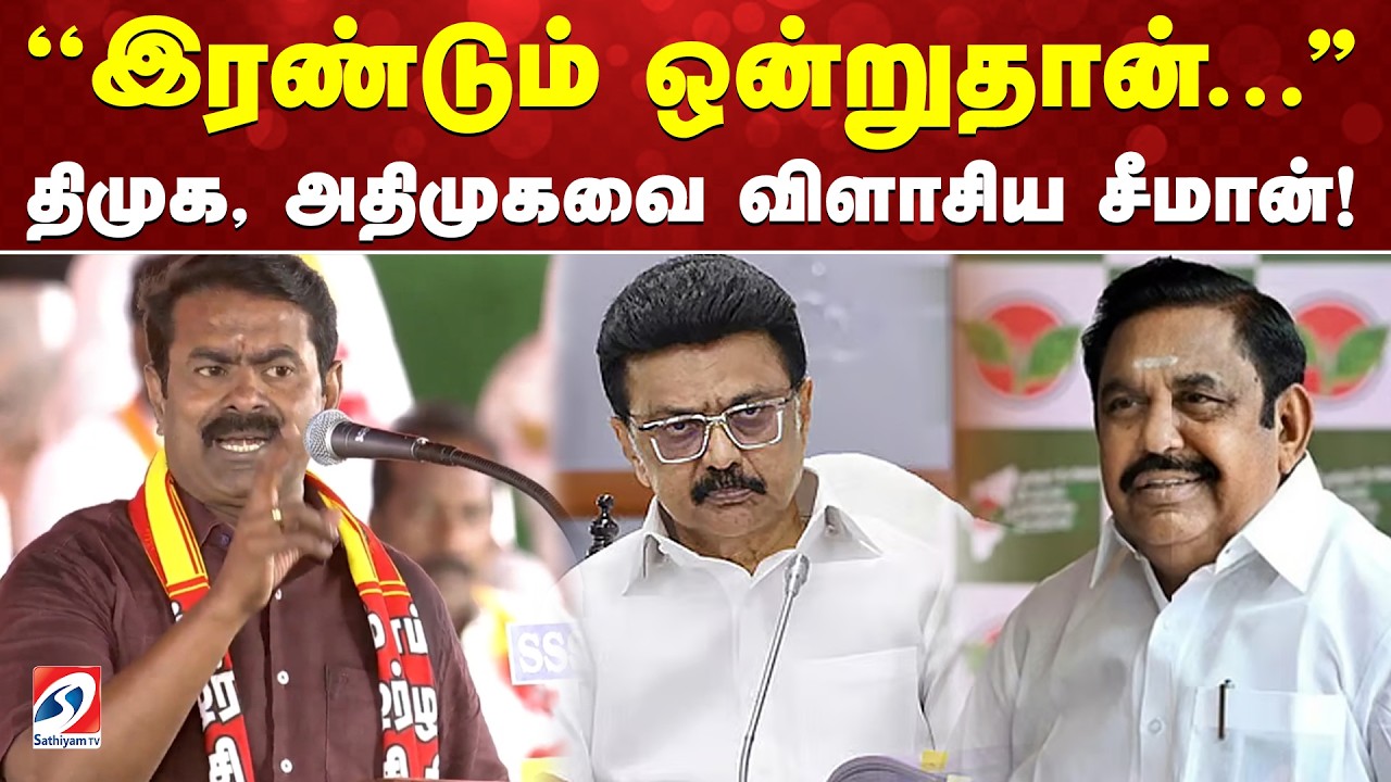 ''இரண்டும் ஒன்றுதான்...'' - திமுக, அதிமுகவை விளாசிய சீமான்!