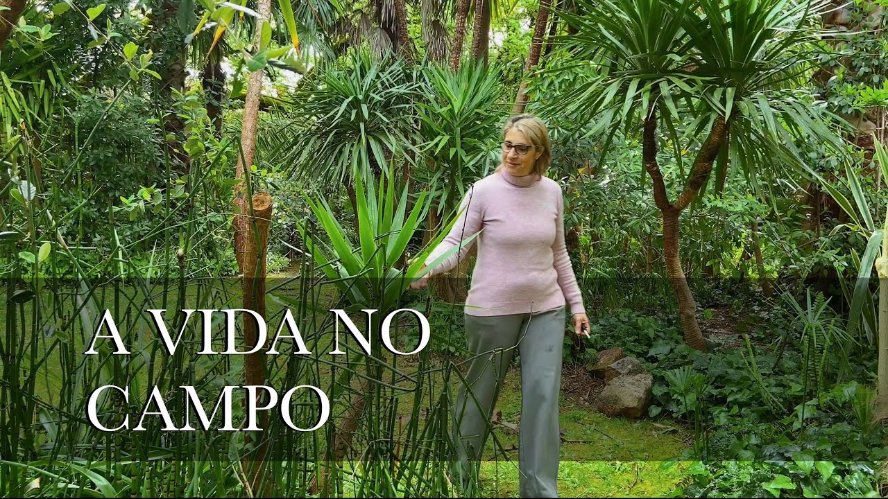 O meu dia-a-dia no campo + Passeio no Jardim da Devesa, Pedrógão Grande | vlog 🌱🏡