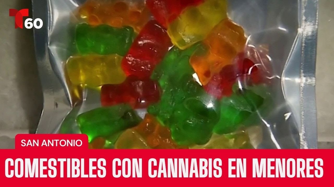 “Es un peligro”: aumento en consumo de comestibles con cannabis en menores | Telemundo 60