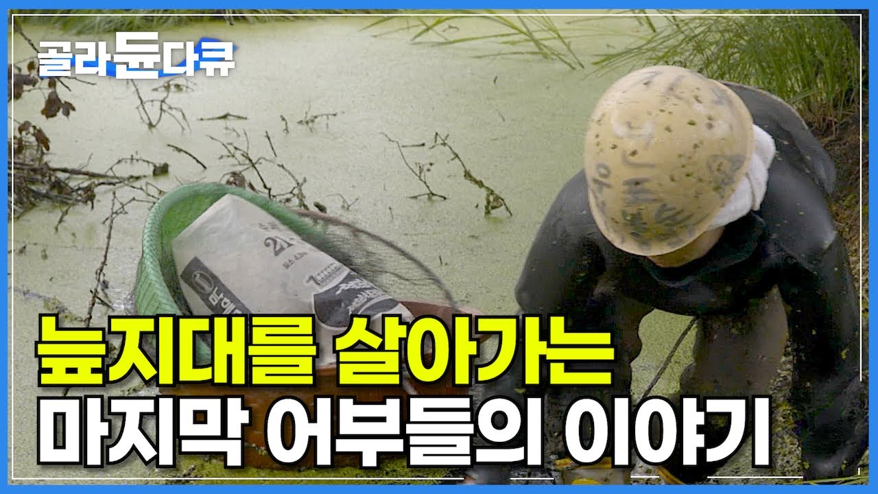 아름답고 신비로운 천연 습지, 우포늪을 삶의 터전으로 살아가는 마지막 어부들의 이야기│보호와 삶의 경계에서│우포늪 사람들, 일 년의 기록│명품 다큐멘터리│다큐프라임│#골라듄다큐