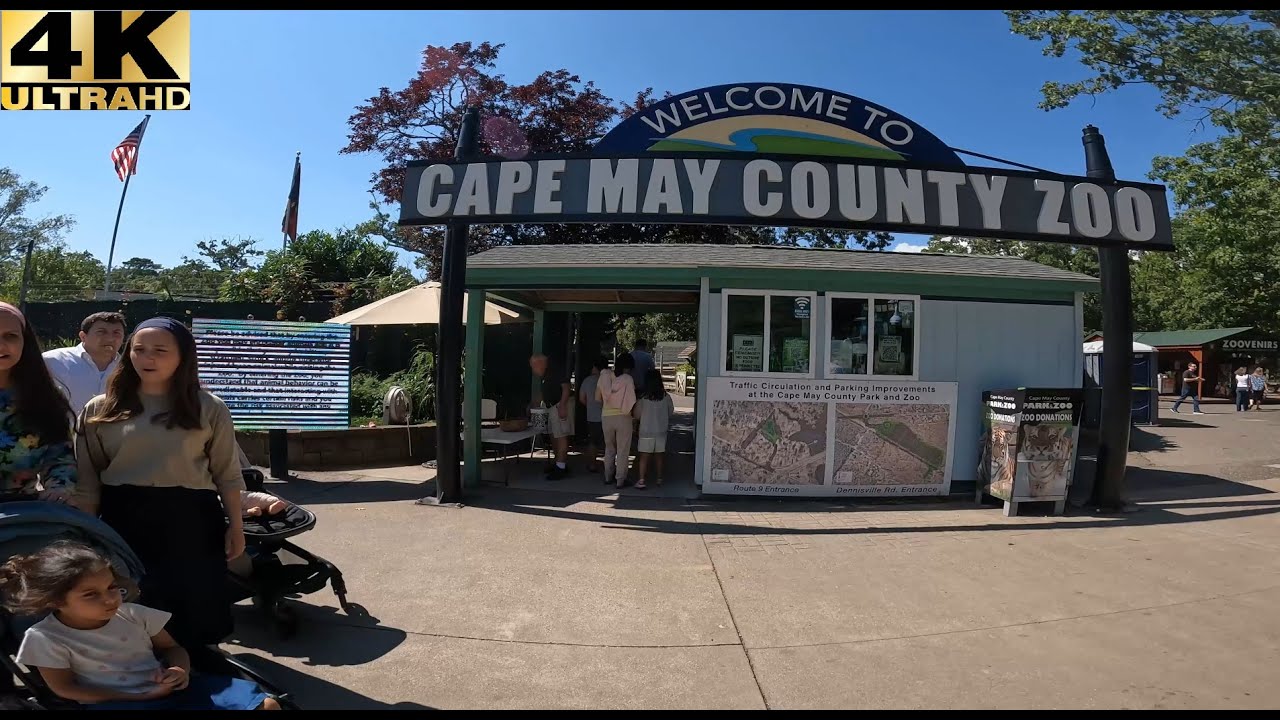 Cape May County Park & Zoo New Jersey Walkthrough | Zoo Tour