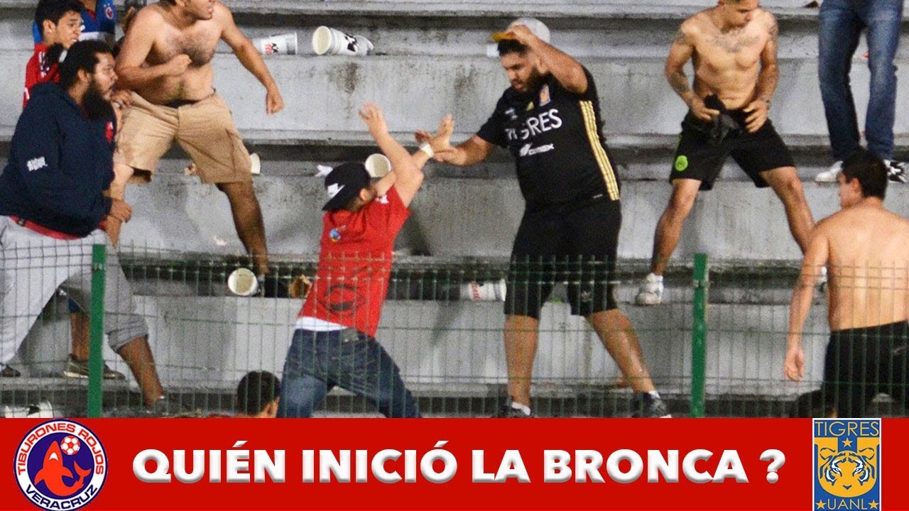 Veracruz vs Tigres quién inició la bronca