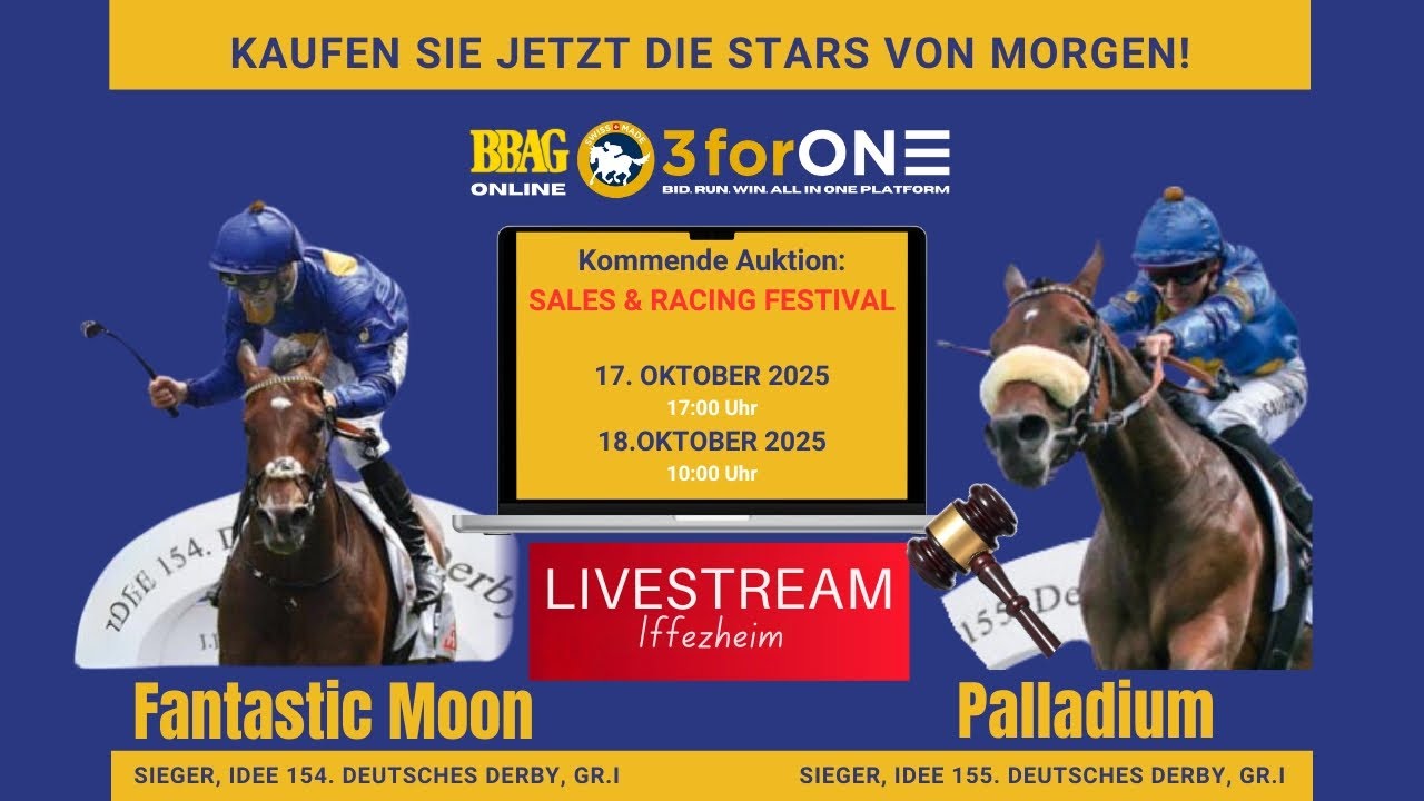 🏇 BBAG Sales & Racing Festival 2025 – Tag 2 LIVE ab 10:00 Uhr | Die Spannung geht weiter!