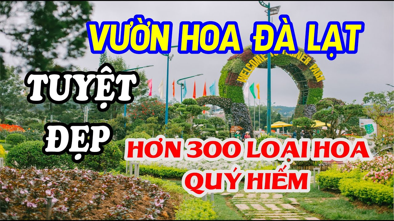 VƯỜN HOA Đ&Agrave; LẠT | DU LỊCH THAM QUAN VƯỜN HOA TH&Agrave;NH PHỐ Đ&Agrave; LẠT | C&agrave; Răng Căng Tai TV