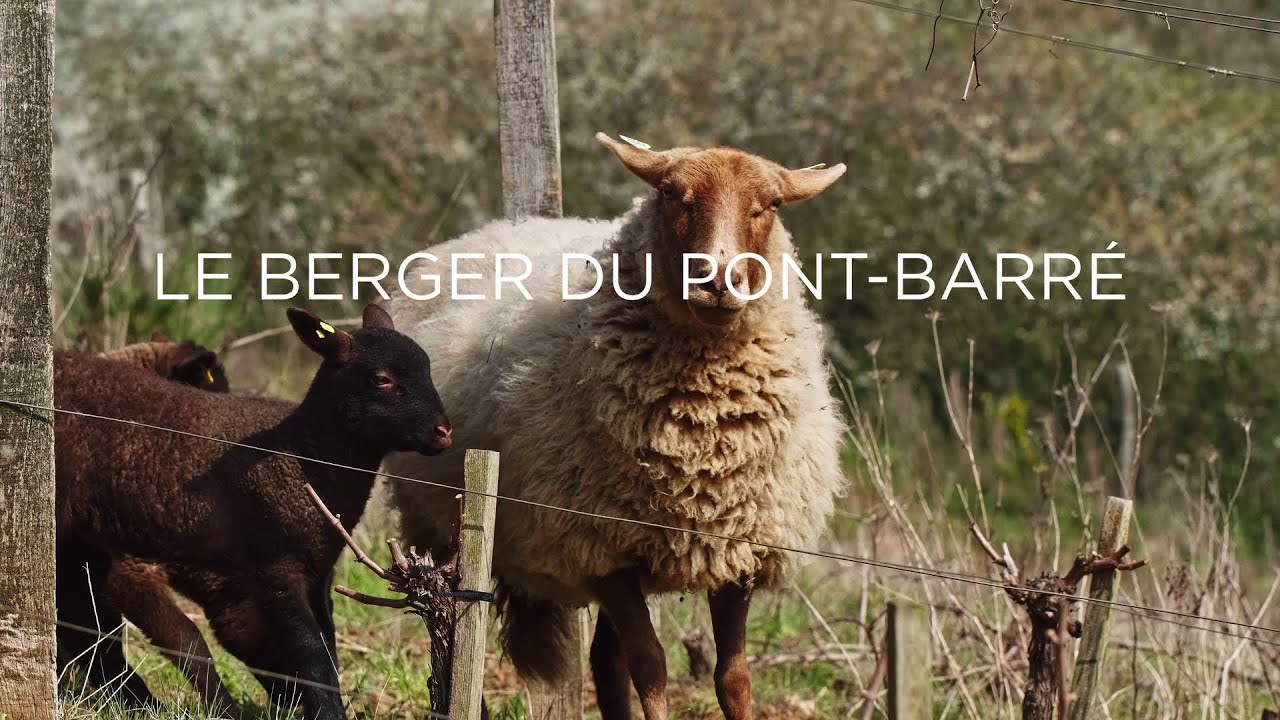 Le berger du Pont-Barré