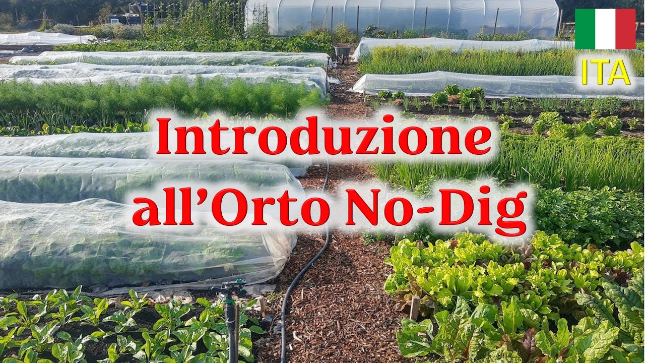 Perché il suolo non andrebbe lavorato? Introduzione all'Orto No-Dig