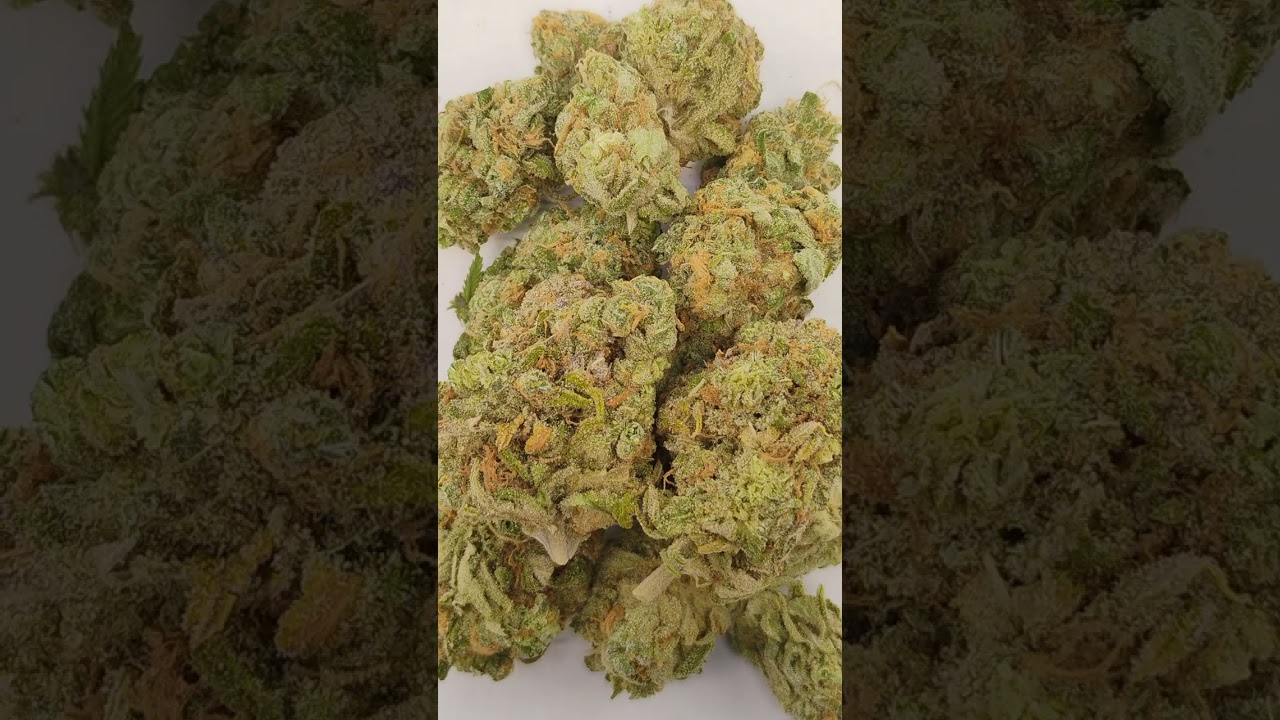 🔥XJ-13🔥 Cannabis strain review/W Dr. Greenbody