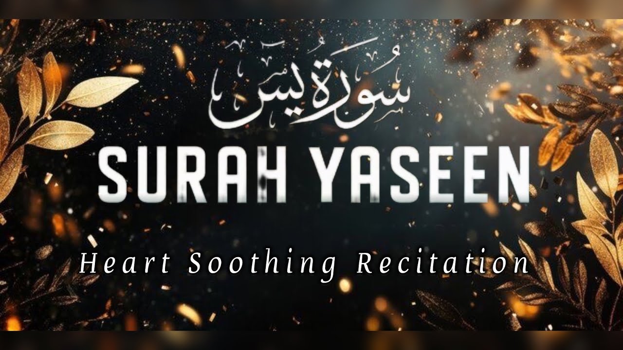 Surah Yaseen | Most Beautiful Soulful Recitation for Peace & Blessings | سورۃیسین 