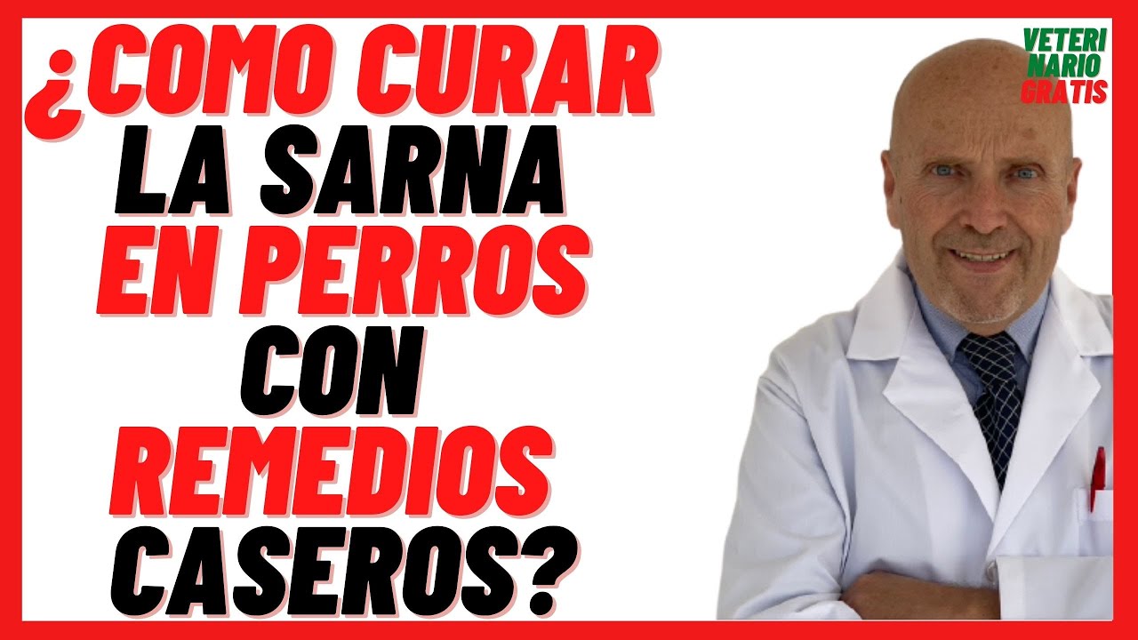 🟠 13 REMEDIOS CASEROS para combatir la SARNA en PERROS 🟠Como CURAR la SARNA en PERROS Naturalmente