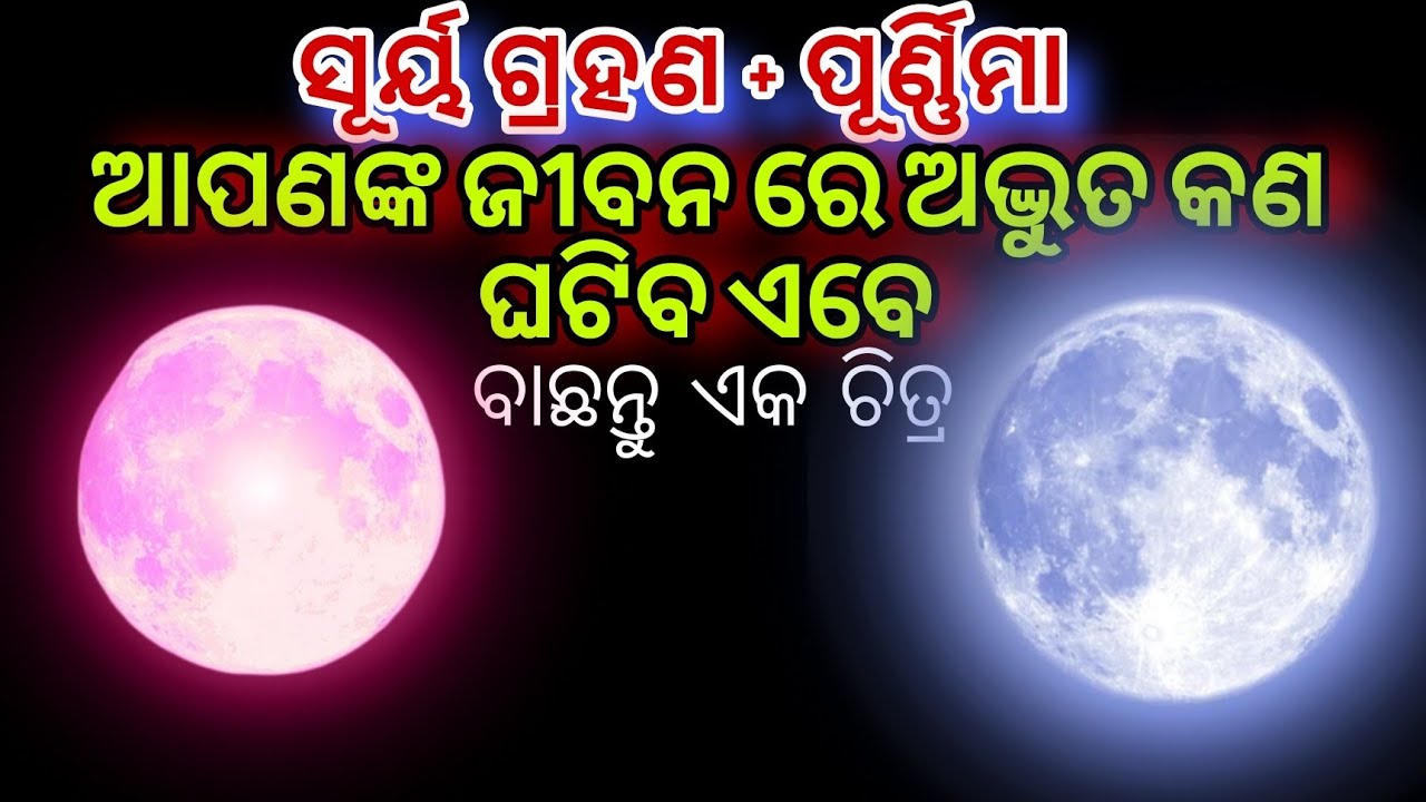 Pick a card Odia 🧿odia astrology 📌 Odia Tarot card reading