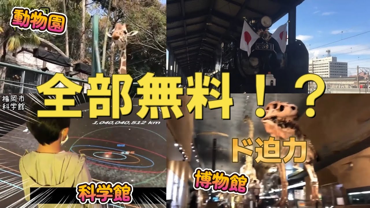 [無料] 福岡の博物館・動物園・科学館・美術館が無料に！！ [子供の喜ぶ遊び場紹介]　フリーミュージアムフクオカ
